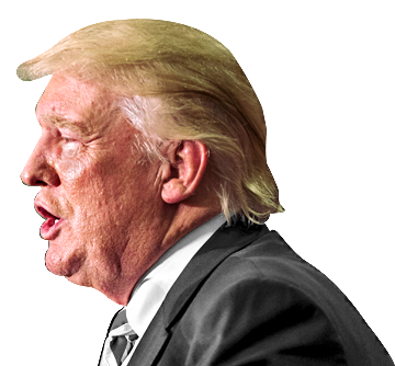 Trump - Donald Trump Fondo Blanco (392x340), Png Download
