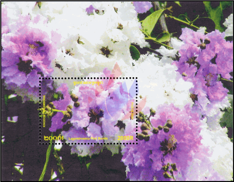 Flowering Shrubs And Trees - Tree (800x800), Png Download