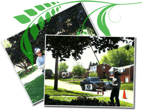 Keep It Classy - Pennsylvania (970x500), Png Download