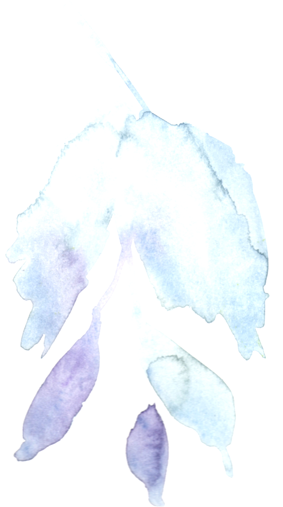 Hand Painted Doodle Flowers Transparent Decorative - Sketch (1024x1830), Png Download