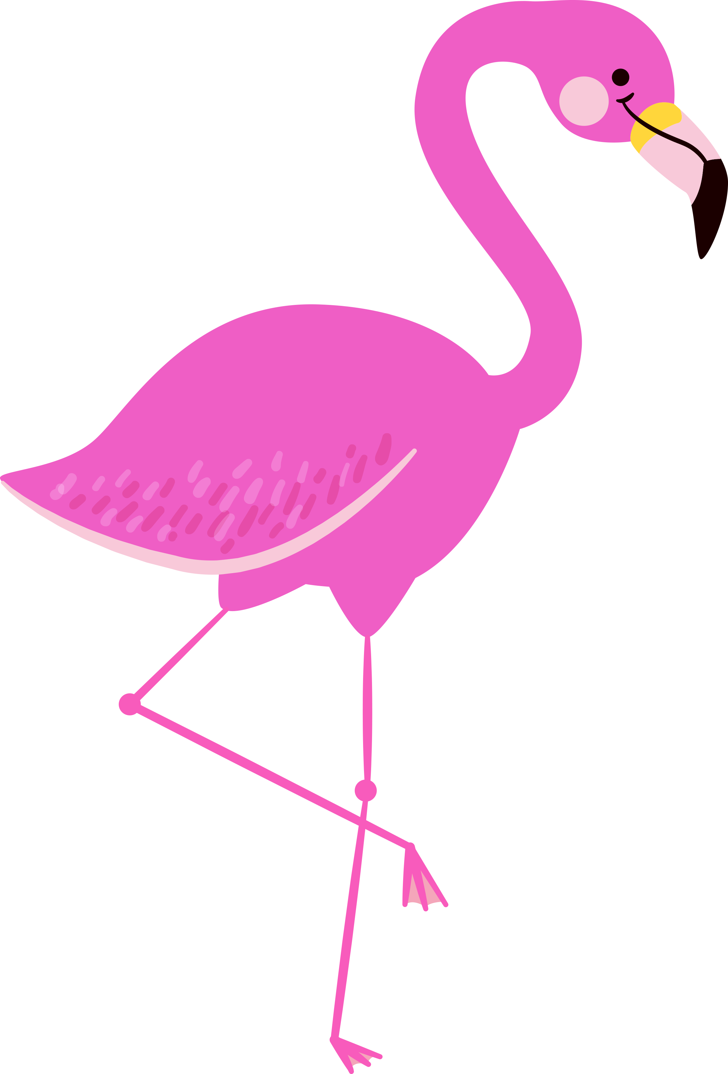 Beak Clip Flamingo - Cartoon Of Flamingo (2360x3480), Png Download