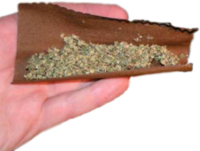 The Gallery For > Rolled Blunt - Blunt Rolling Png (400x302), Png Download
