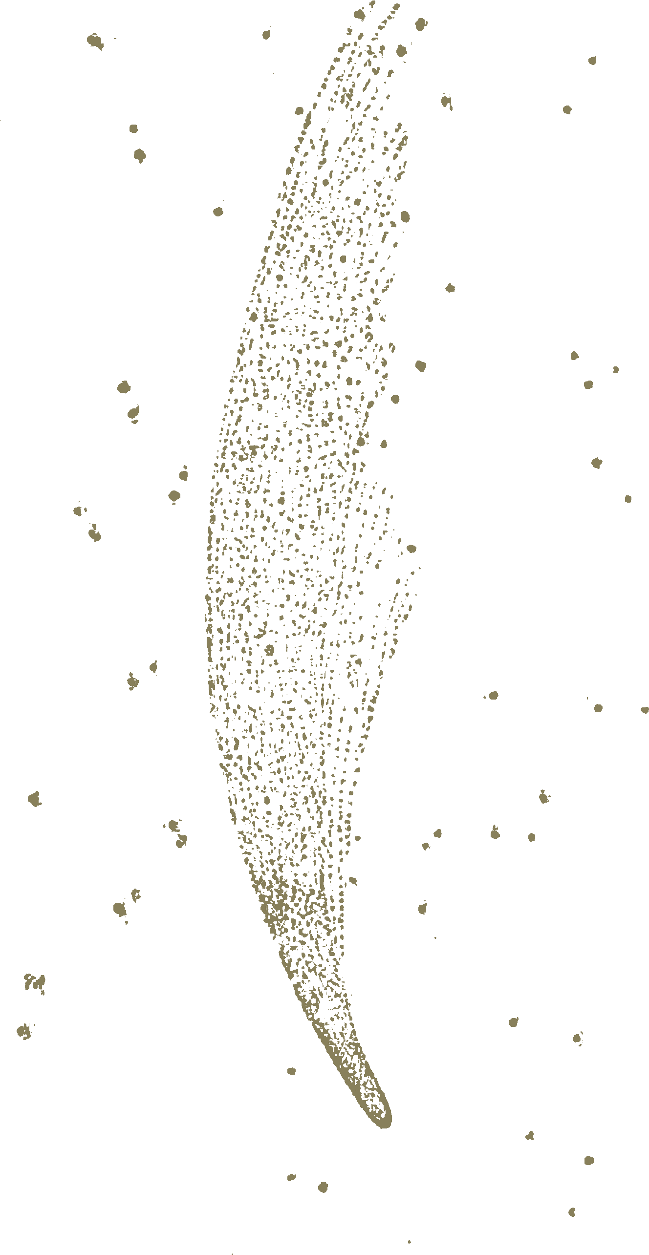 Carroll Phantasmagoria Donati Comet - Illustration (1364x2640), Png Download