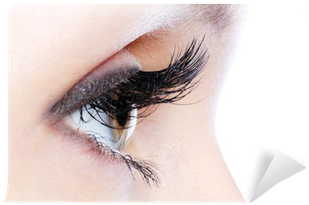 Eye With A Long Curl False Eyelashes Wall Mural • Pixers® - Most Beautiful Eyes Without Makeup (400x400), Png Download