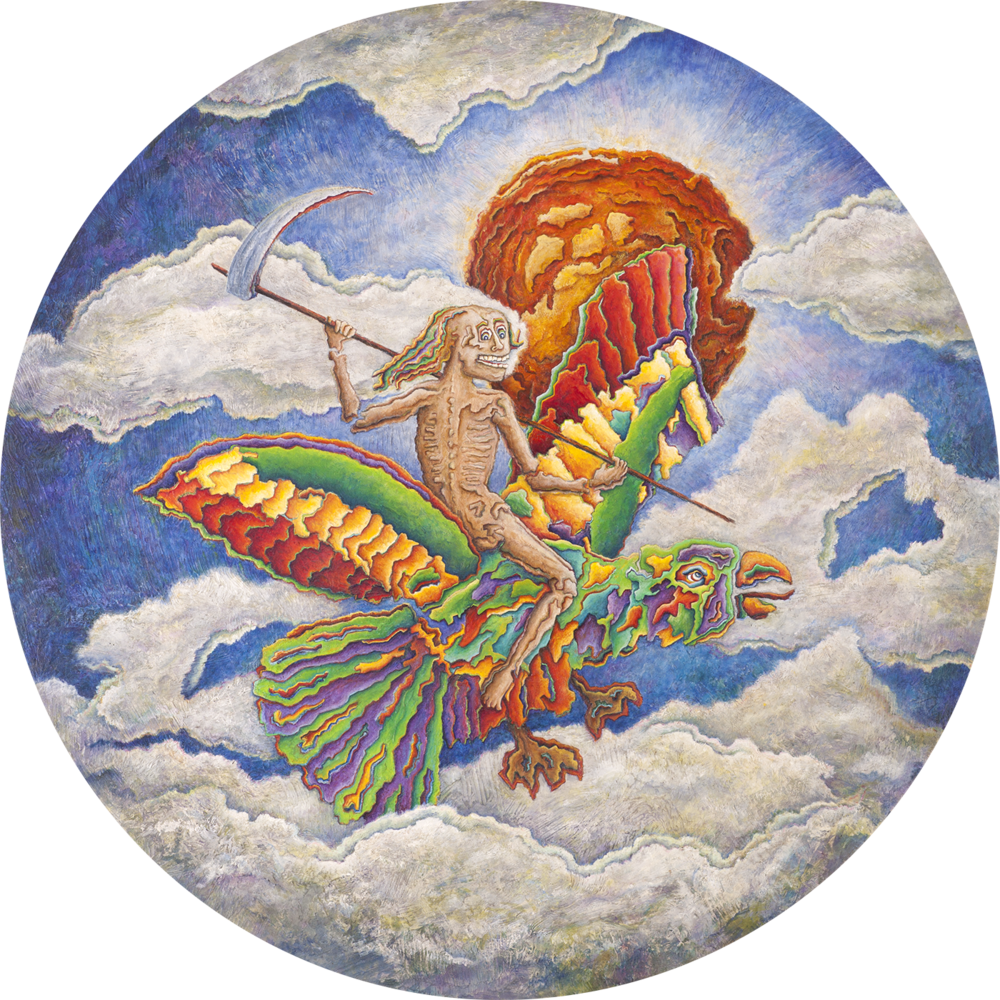 Parrotking-res (1000x1000), Png Download