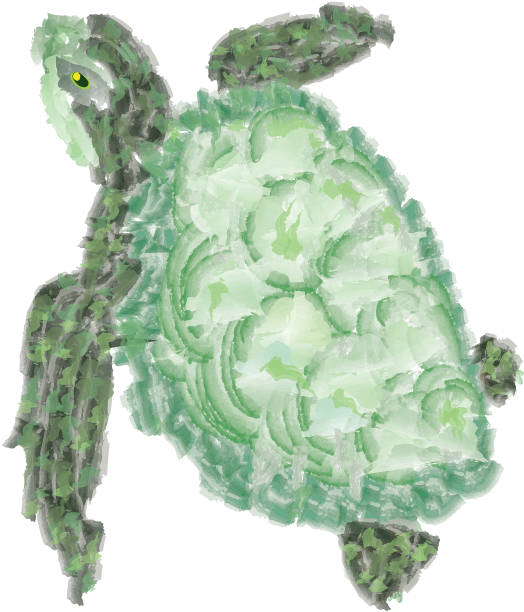 Watercolor Graphic - Red Eared Slider (576x792), Png Download