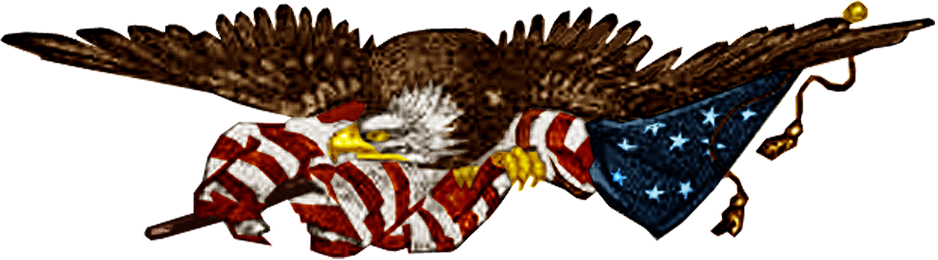 Bald Eagle Clipart Patriotic - Patriotic Eagle Clipart (938x260), Png Download
