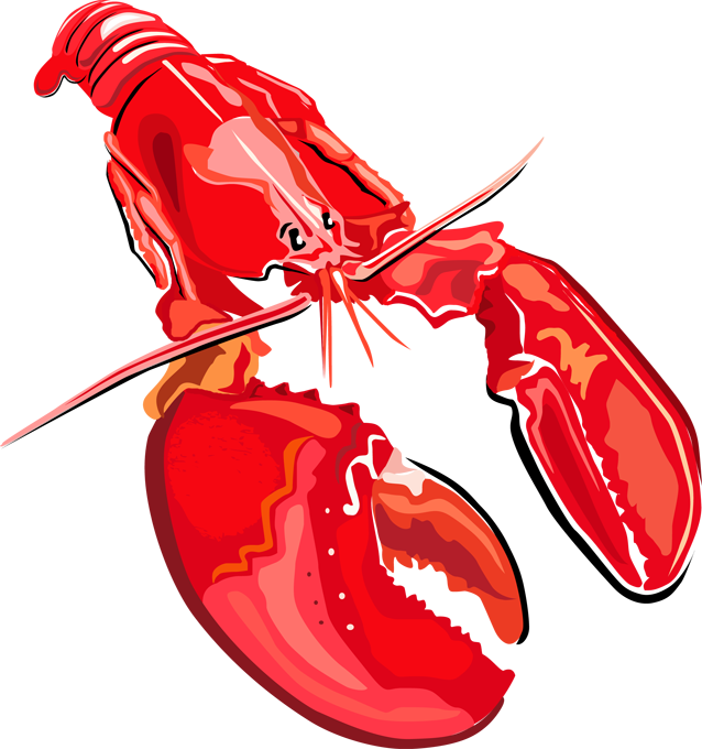 Lobster - Clipart Library - Clipart Library - Lobster Clipart Transparent (638x680), Png Download