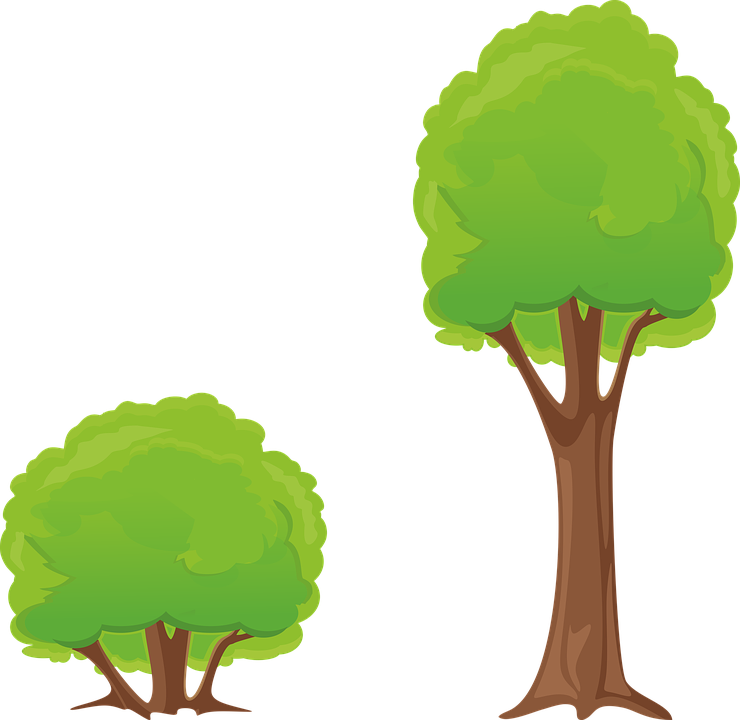 Tree Bush Clipart - Bush Clipart (740x720), Png Download