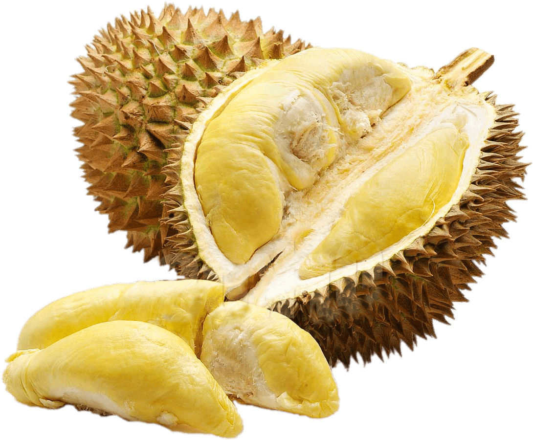 Inside Of Durian - Durian Fruits (1100x1100), Png Download