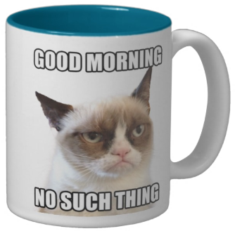 Grumpy Cat Porcelain Mug Go Away (608x608), Png Download