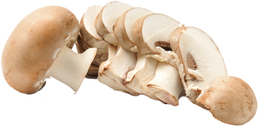 Sliced Mushroom - Chopped Mushroom Slices Png (416x316), Png Download