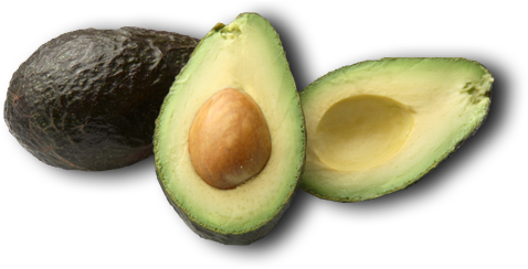 Avocado Png Icon - Avacodo Clipart (490x260), Png Download