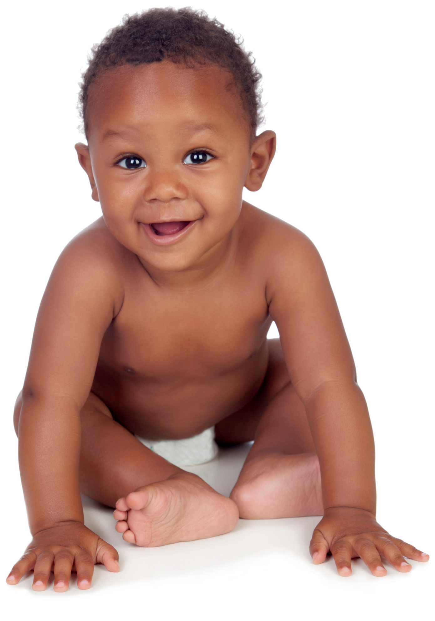 28875617658 505b7a O (1548x2048), Png Download