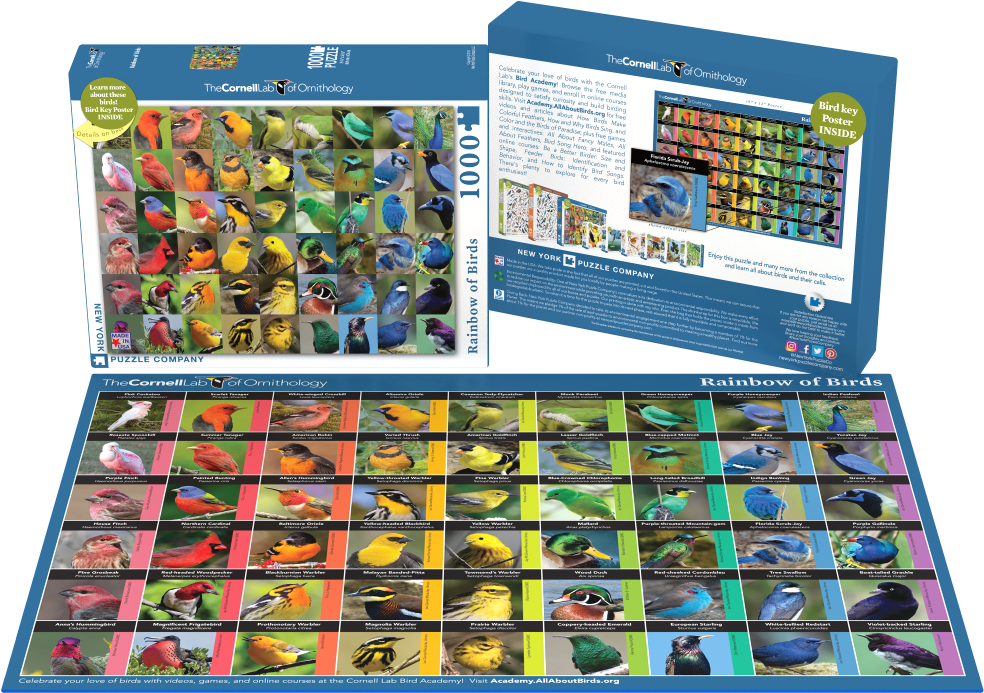 Birds Of North America Puzzles - Birds Of North America (1000x752), Png Download