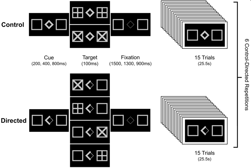 Attentional Variant Of The Go-nogo Task With Two Trial - Shed (872x584), Png Download