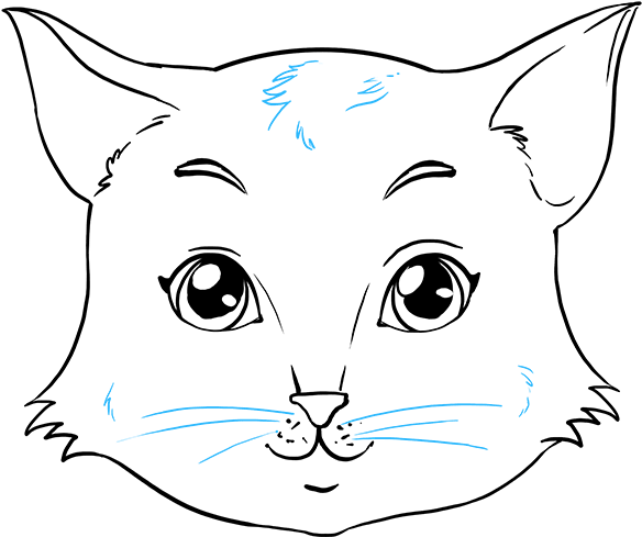How To Draw Cat Face - Drawing (680x678), Png Download
