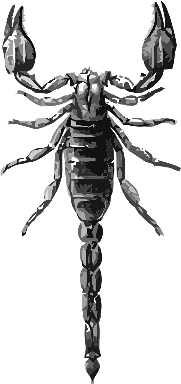 Diplocenthus Keiserlingi - Animated Scorpion (436x800), Png Download