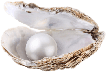Large Pearl In Oyster - Selbstbewusstsein Trainieren Fur Dummies (400x400), Png Download