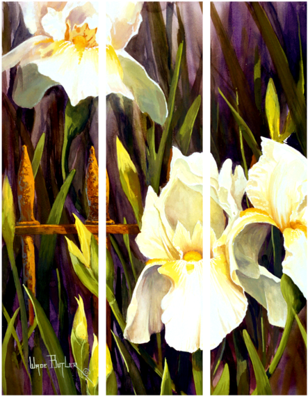 White Iris Triptych - Art (482x600), Png Download