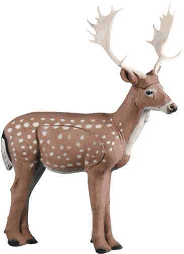 Fallow Deer - Rinehart Targets Rinehart Fallow Deer 3-d Foam Archery (450x505), Png Download