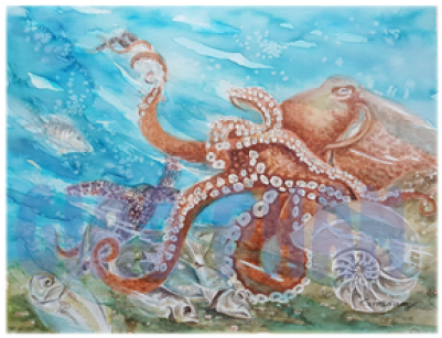 Octopus (400x400), Png Download