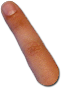 All Prescott Computer Guy Cursors In A Zipped Folder - Macro Photography (394x593), Png Download