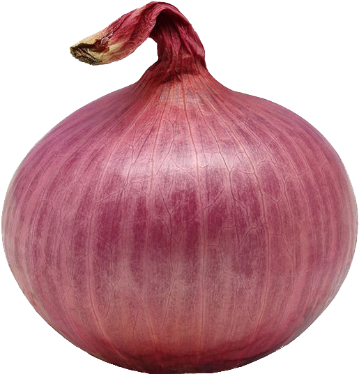 Single Onion Png Download Image - Download (1000x1000), Png Download