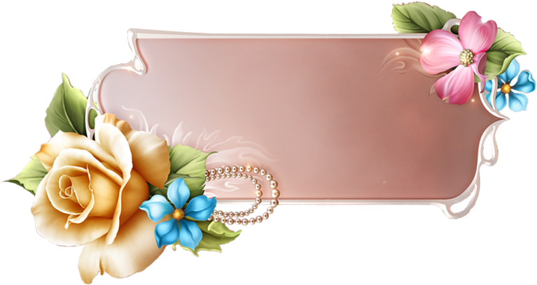 Visit - Garden Roses (800x467), Png Download