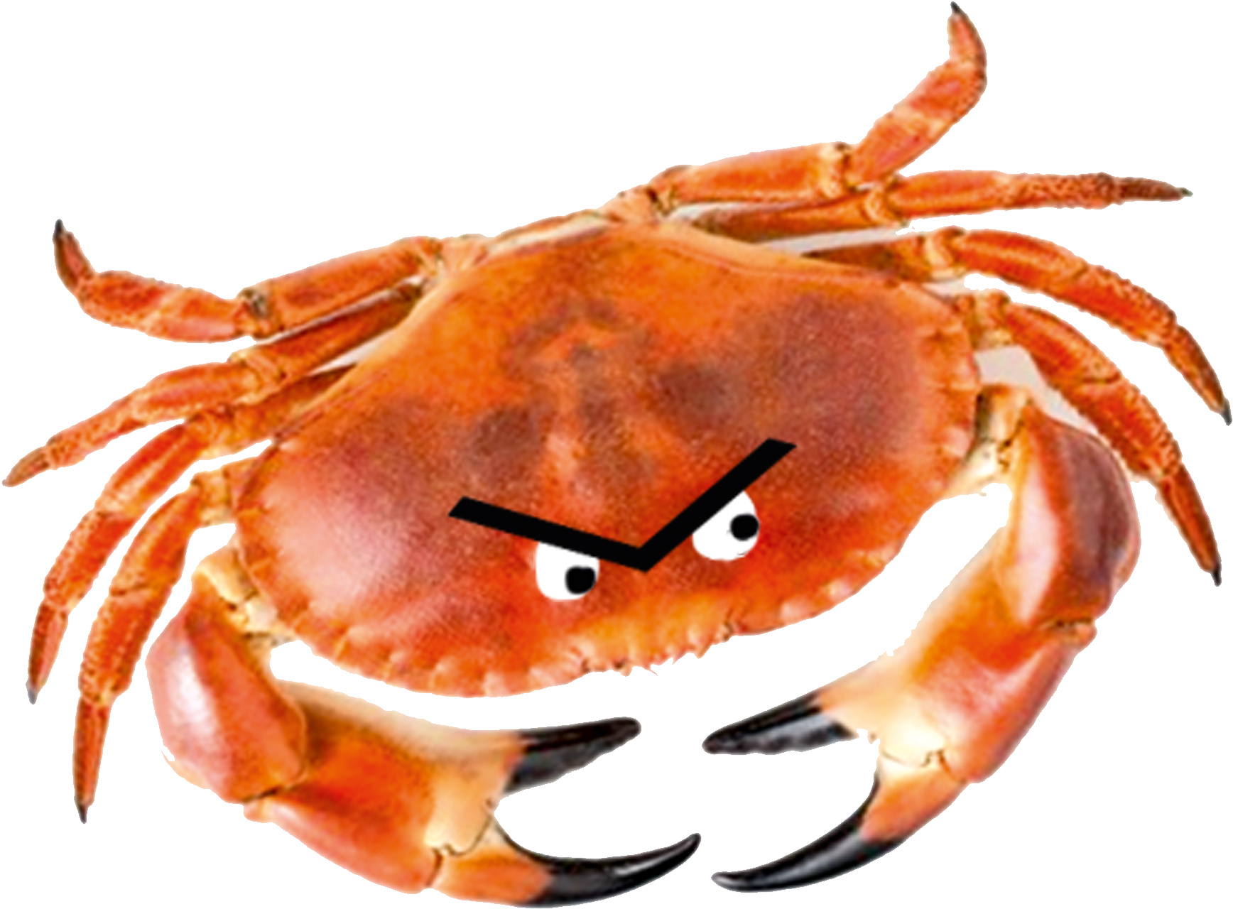 Cheer Up Love - Cheer Up Love - Audiobook (1768x1320), Png Download