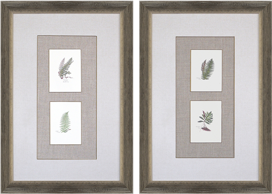 Ferns Pk/2 - Gracie Oaks 'ferns' 2 Piece Graphic Art Print Set (550x550), Png Download