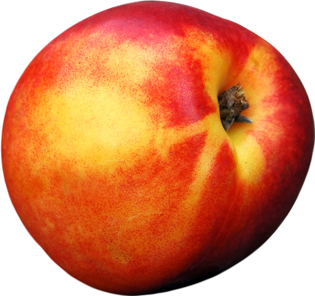 Peach Png - Peach (1068x1014), Png Download