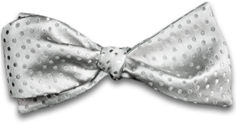 Silver Gray Satin Silk Self Tie Bow Tie With Tone On - Silver Bow Tie On Transparent (480x319), Png Download