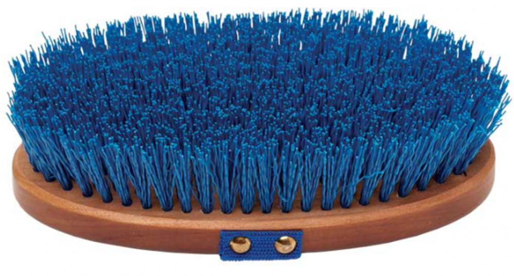 Horse Hard Brush Png (1000x1000), Png Download