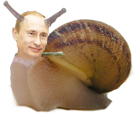 Saanko Esitellä, Snutin - Funny Snails (540x407), Png Download