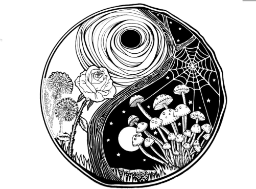 Transparent Yin Yang - Yin Yang (500x375), Png Download