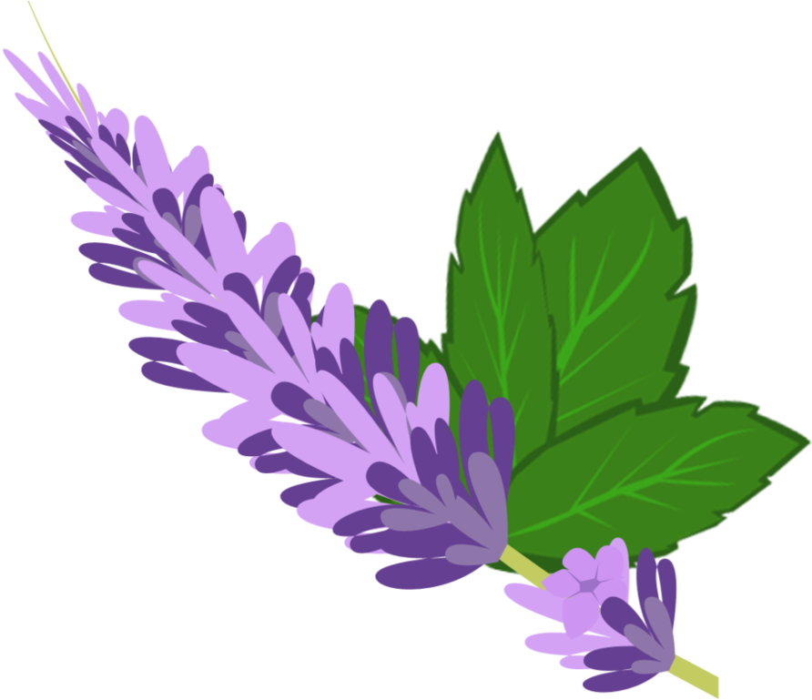 Lavender Mint Cutie Mark By Jaelachan On Deviantart - Cartoon Pictures Of Lavender (893x895), Png Download