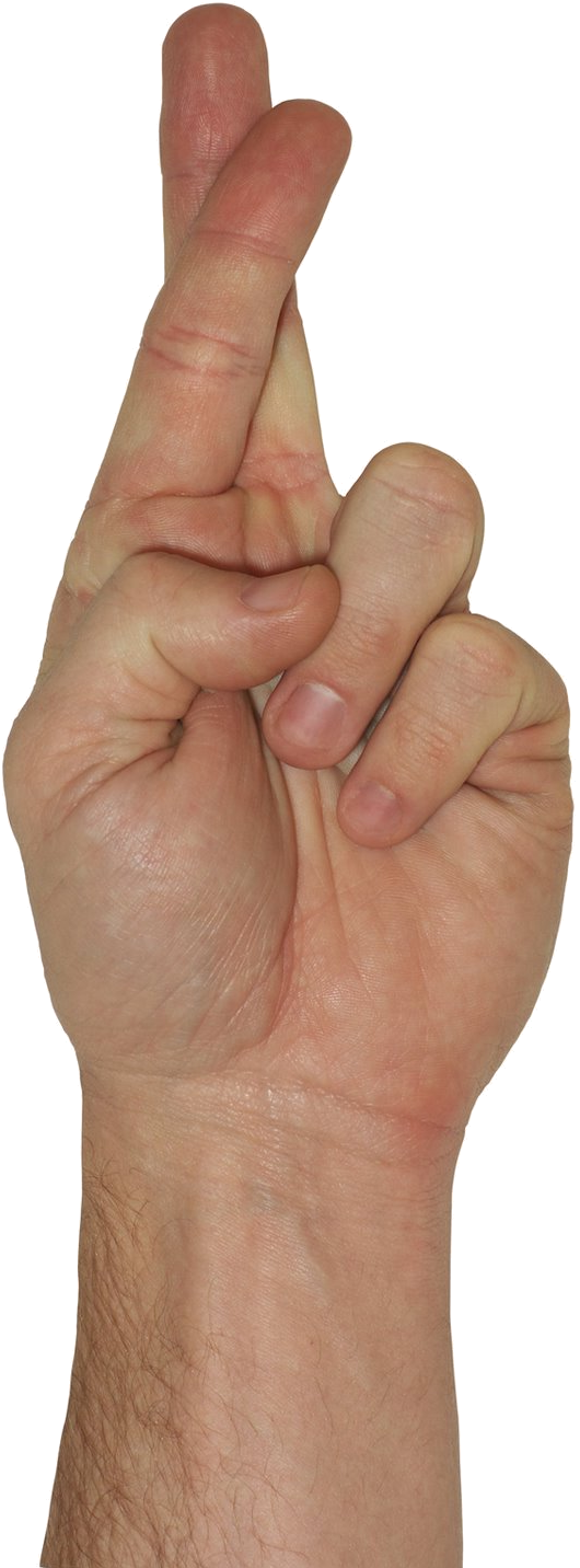 Keeping My Fingers Crossed For Western Localization - Sign Language (530x1432), Png Download