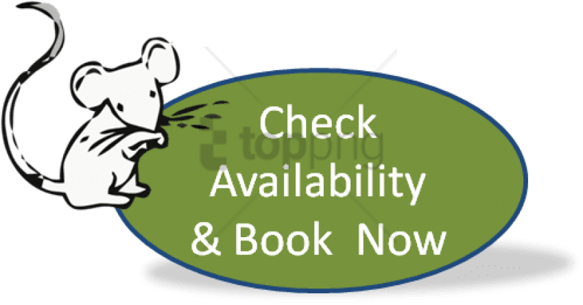 Real Time Online Bookings - Avoid Disappointment Book Now (505x265), Png Download