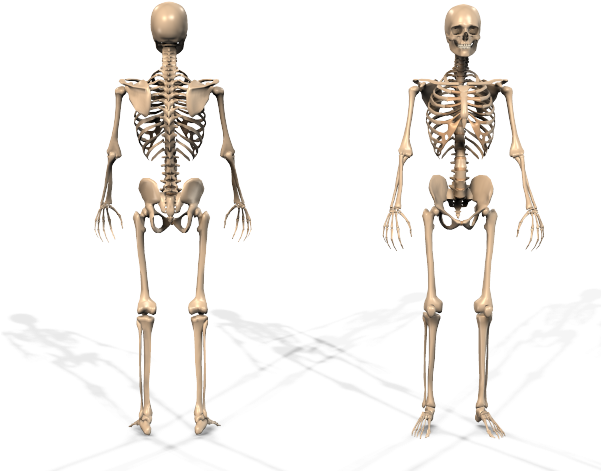 Stacks Image - Plus Fitness (600x500), Png Download