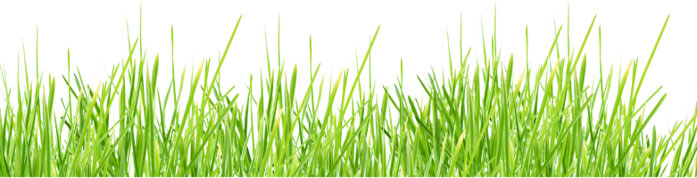 Grass Transparent Background Free (781x200), Png Download