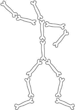 Drawn Skeleton Bone - Human Body Bones Png (300x402), Png Download