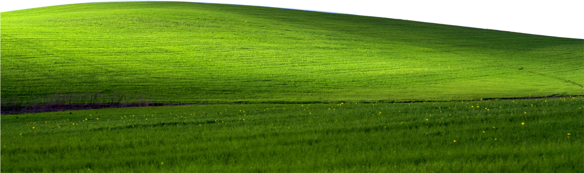 Go Back To The Codepunker's Den - Windows Xp Bliss Transparent (1920x1200), Png Download