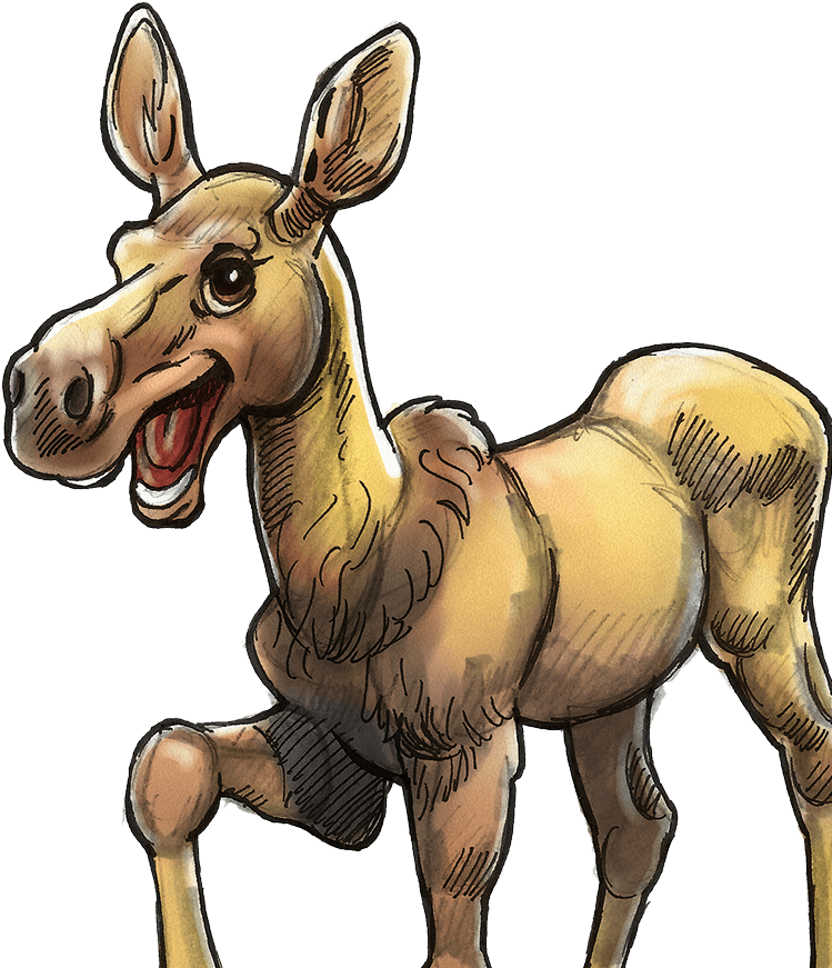 Color Peachie The Moose - Cartoon (2000x1000), Png Download