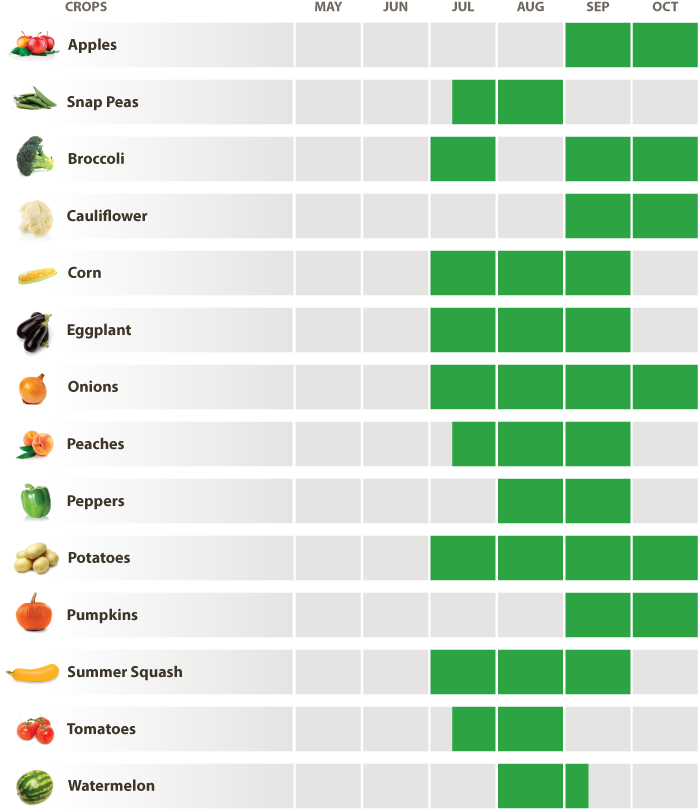 Covered Wagon Produce Harvest Schedule - Covered Wagon Produce (760x888), Png Download