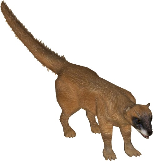 Siberian Weasel - Wiki (517x517), Png Download