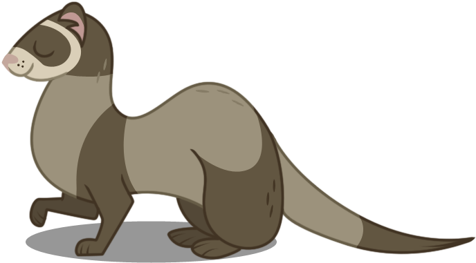 Related Png Images - My Little Pony Ferret (740x401), Png Download