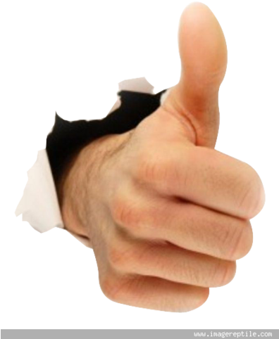 Max Payne - Thumbs Up Png (395x500), Png Download