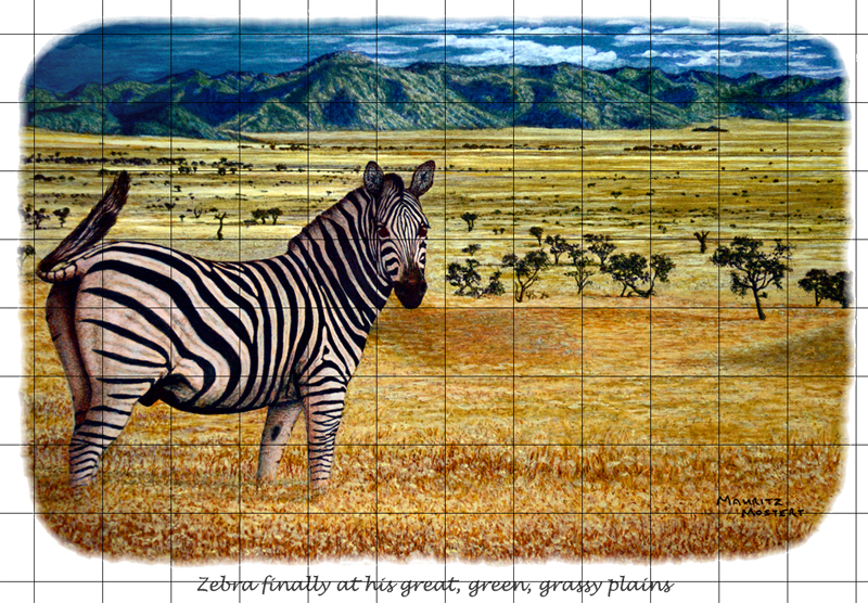 Zebra Plains Web Gr - Wildmoz (800x556), Png Download