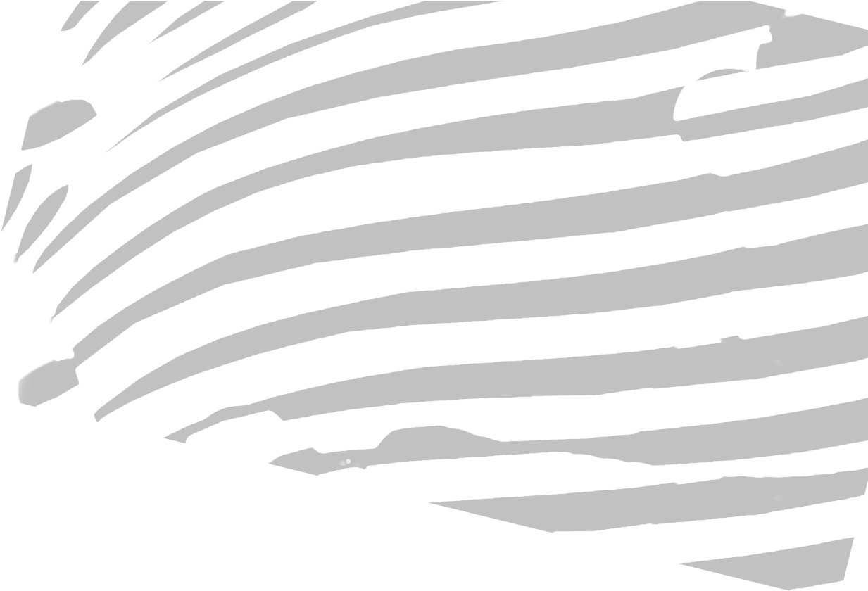 Zebra-stripes - Monochrome (1280x882), Png Download